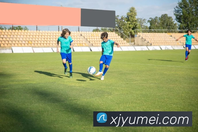 巅峰国际app官网下载品牌故事