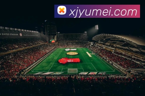 巅峰国际app官网下载服务体系